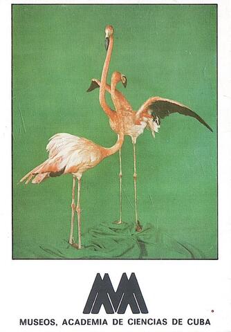 Museos, academia de ciencias de Cuba