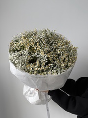 Букет сборный из ромашки и гипсофилы в белом оттенке