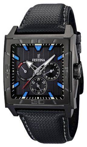 Наручные часы Festina F16569/2 фото