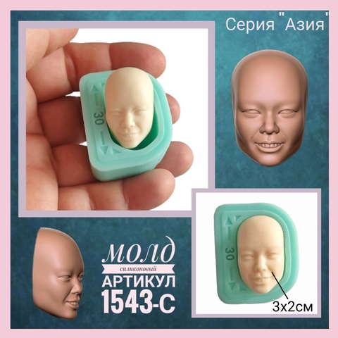 1543-С Молд силиконовый из серии Азия 