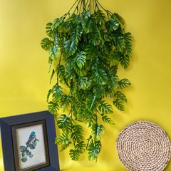Зелень Монстеры ампельной, свисающая зелень, евро пластик, 72 см, набор 2 шт.