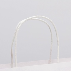 Пакет подарочный S квадрат, «Рыцарю», голография 22*22*11 см (Д*В*Ш), 1 шт.