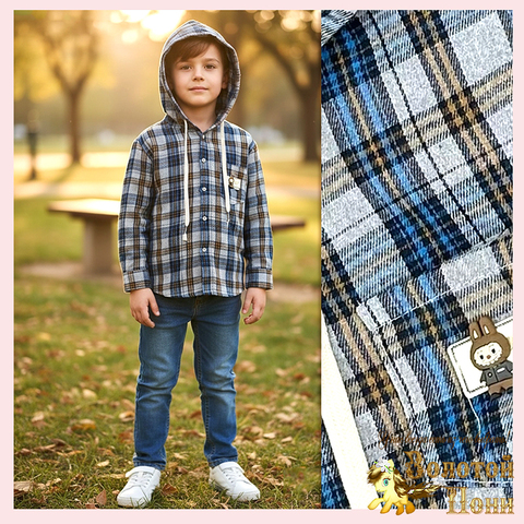 Рубашка с капюшоном м (2-6) 251204-W2037