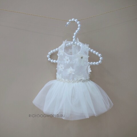 5560 BH Платье нарядное "Watermelon Pants"