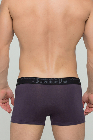 Мужские трусы 2018 Dark Grey Salvador Dali