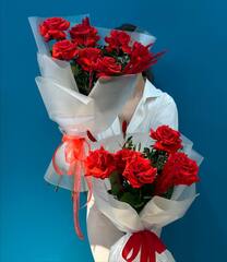 Красная феерия (M)