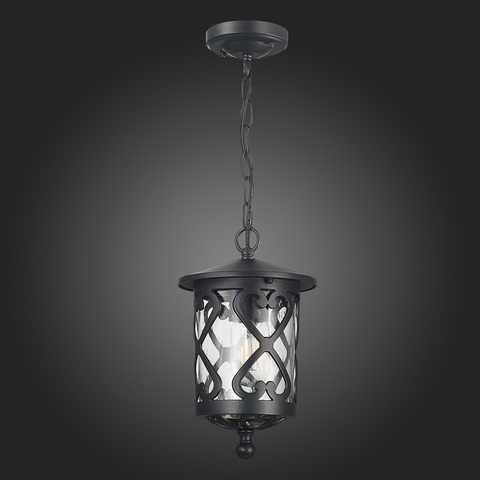 Светильник уличный подвесной ST Luce Lorne SL085.403.01