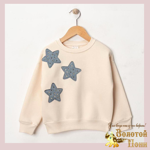 Свитшот начес д (3-6) 251105-R1059