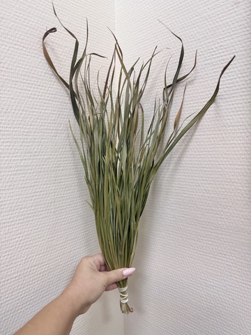 Трава сухоцвет натуральный зеленый