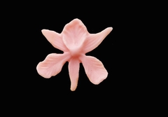 Силиконовый молд Орхидея 2 D