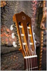 Гитара классическая 4/4 PEREZ 610 Cedar