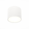 Светильник потолочный ST Luce ST113.542.09