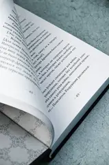 Поднятие уровня в одиночку. Solo Leveling. Книга 8
