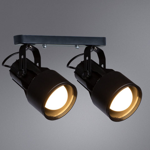Спот Arte Lamp Lyra A6252PL-2BK