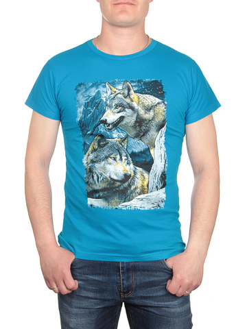 17612-1 футболка мужская, синяя