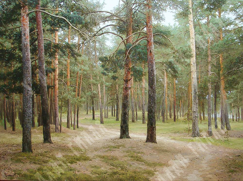 Плотников В. В. В сосновом парке .Холст, масло. 2016 г.