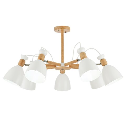 Светильник потолочный Evoluce Balcamo SLE103802-07