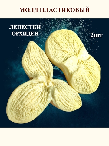 Молды 