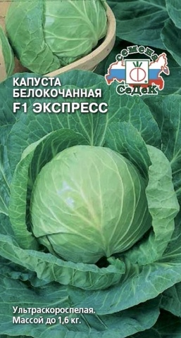 Семена Капуста б/к Экспресс F1, ранняя, 0,3 гр