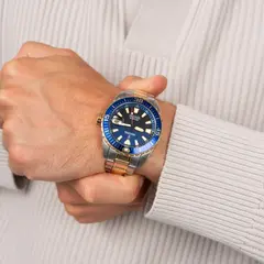 Часы мужские Festina F20706/1 The originals/Diver