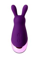 Фиолетовый стимулятор эрогенных зон Eromantica BUNNY - 21,5 см. - 
