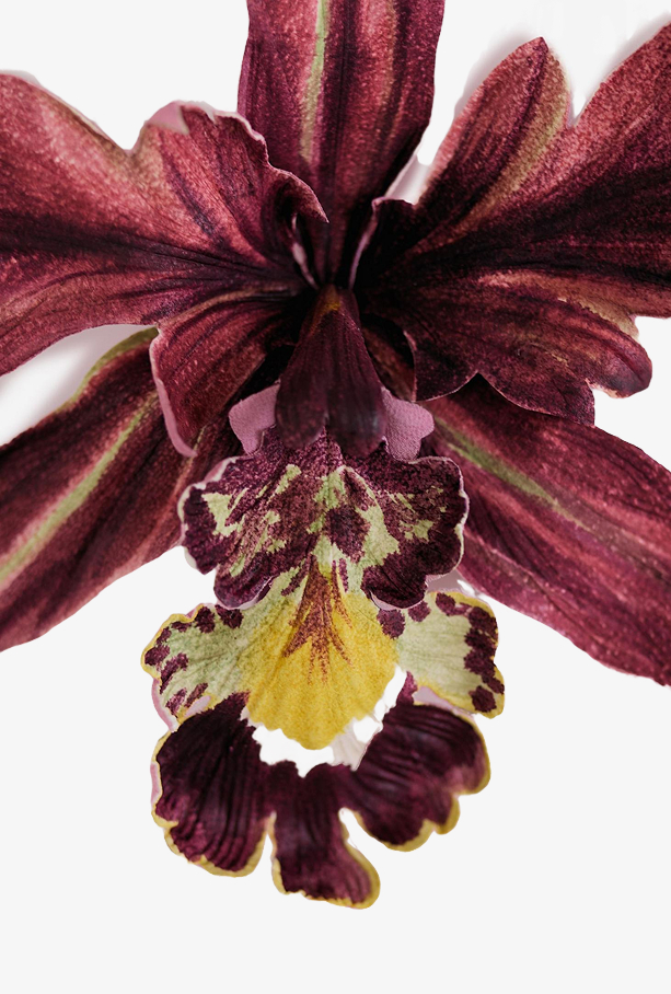 Брошь Орхидея Вуил