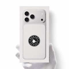 iPhone 17 Pro Max 256 ГБ, SIM + eSIM, Silver 