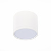 Светильник потолочный ST Luce ST113.542.09