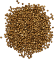 Кориандр (плоды, 50гр.)  (Старослав)