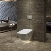 TOTO MB175M#SS TOTO Клавиша смыва 235×6×152 мм для модуля WH182EAT, цвет сталь матовая
