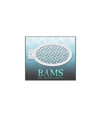 Трафарет BAMS 2029