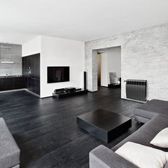 Royal Thermo Biliner 500/NOIR SABLE