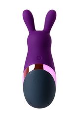 Фиолетовый стимулятор эрогенных зон Eromantica BUNNY - 21,5 см. - 