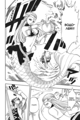 Fairy Tail. Хвост Феи. Том 22