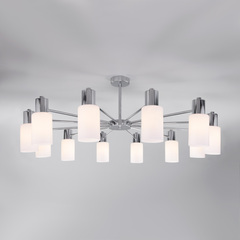 Потолочный светильник 70160/12 хром