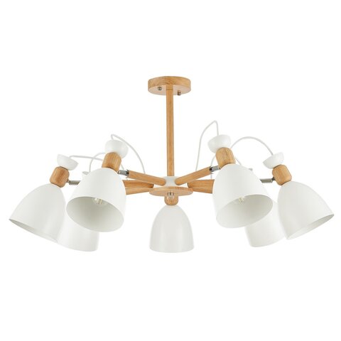 Светильник потолочный Evoluce Balcamo SLE103802-07