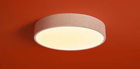 Потолочный светодиодный светильник Freya Ruler FR5555CL-L30BGG