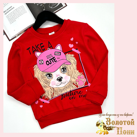 Свитшот хлопок д (6-9) 251128-SSD158