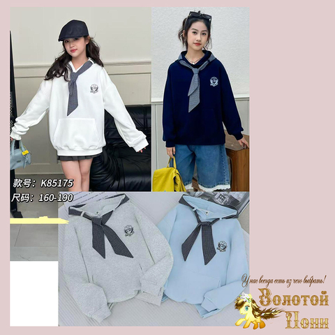 Толстовка хлопок подр д (12-16) 260205-LP641