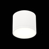 Светильник потолочный ST Luce ST113.542.09