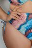 FIJI Briefshighwaist Трусы купальные