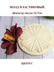 Молд пластиковый Б-21 цитрус