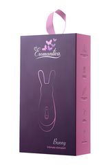 Фиолетовый стимулятор эрогенных зон Eromantica BUNNY - 21,5 см. - 