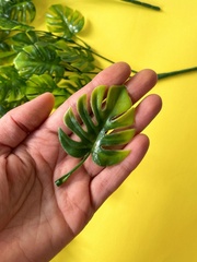 Зелень Монстеры ампельной, свисающая зелень, евро пластик, 72 см, набор 2 шт.