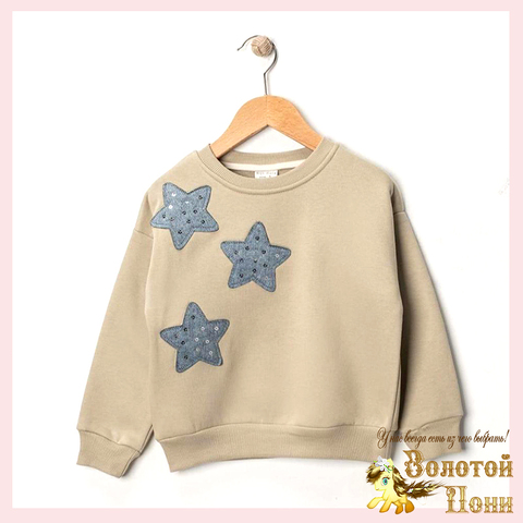 Свитшот начес д (3-6) 251105-R1060