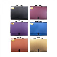 
          Папка-портфель на застежке Alingar, А4 360х265х40 мм, пластиковая, 800 мкм, ассорти, матовая, карман для визитки, "Flossy"