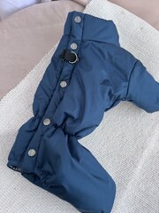 Демисезонный комбинезон для собак (мальчик)