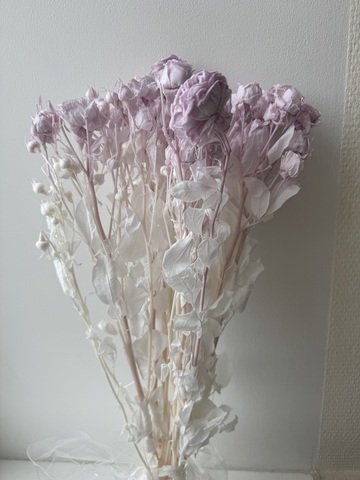 Кустовые розы Сиреневый (упаковка)