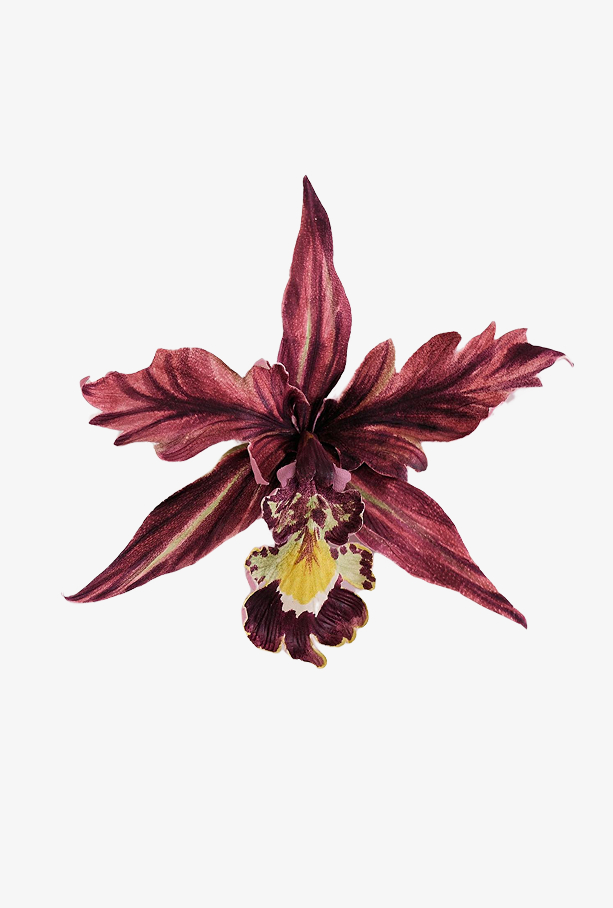 Брошь Орхидея Вуил