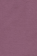 шорты  для девочки  КР 400417-1/темная орхидея к553